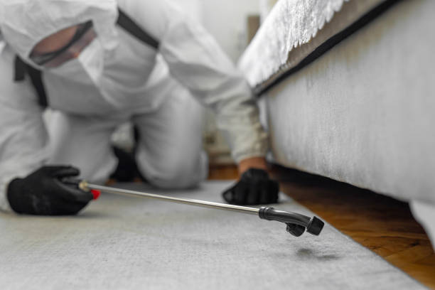 Professional Mosquito Control technician working in Lake Mack-Forest Hills, FL