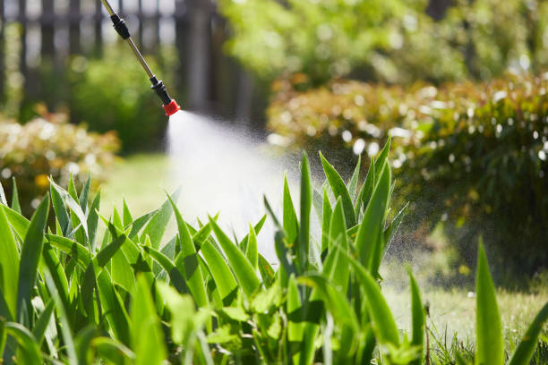 24/7 Emergency Mosquito Control experts in Lake Mack-Forest Hills, FL